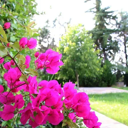 S&s Pura Vida Holiday home Paliouri