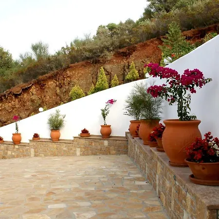 S&s Pura Vida Σπίτι διακοπών *