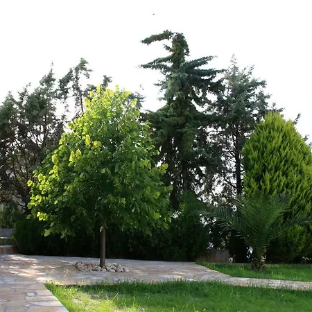 Σπίτι διακοπών S&s Pura Vida