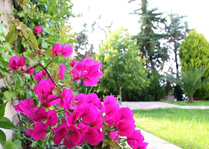 S&s Pura Vida Tatil Evi Paliouri